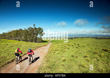 Usa, Hawaii, Big Island, Journalist Daniel Duane und Küchenchef Seamus mullens Mountainbike auf Mana Straße an der Basis der kiluea Vulkan Stockfoto