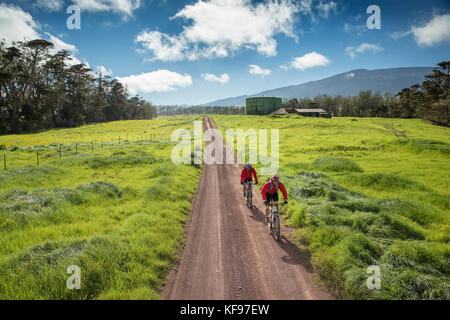 USA, Hawaii, The Big Island, Journalist Daniel Duane und Küchenchef Seamus Mullens Mountainbike auf der Mana Road am Fuße des Kiluea Vulkans Stockfoto