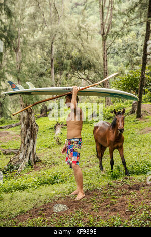 Usa, Hawaii, Big Island, Paddel Boarder und wilde Pferde in Waipio Tal Stockfoto