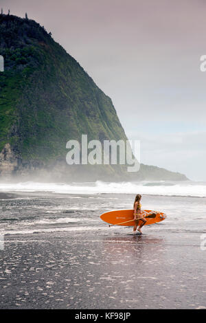 Usa, Hawaii, Big Island, Paddel Boarder donica und Abraham hanot im Waipio Tal Stockfoto