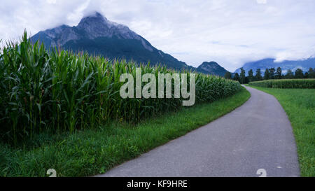 Europa, Schweiz, St. Gallen, Wangs - eine maisfield in der Schweiz, im Hintergrund der Gonzen, regnerischen, einige Wolken, Nebel im Hintergrund Stockfoto