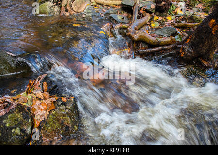 Kleiner Bach Wasserfall in Norwegen. Herbst Farben. Stockfoto