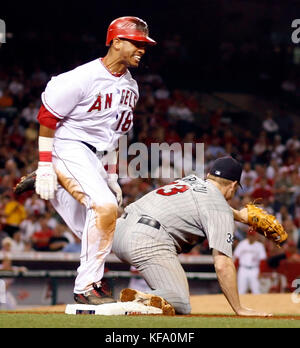 Orlando Cabrera von Los Angeles Angels, Left, läuft zur ersten Base, während sich der erste Baseman der Minnesota Twins Justin Morneau für den Wurf im sechsten Inning eines Baseballspiels in Anaheim, Kalifornien, am Mittwoch, den 31. Mai, streckt. 2006.Umpire Ed Hickox rief Cabrera in einem umstrittenen Ruf zum Sieg der Zwillinge im Jahr 7-1 in Sicherheit. Foto: Francis Specker Stockfoto