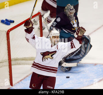 FBS 01 20031012 Anaheim, CA, USA: Phoenix Coyotes Daymond Langkow, Vordergrund, feiert ein Ziel von mannschaftskamerad Ladislav Nagy Vergangenheit Anaheim Mighty Ducks goalie Jean-Sebastien Giguere in der ersten Zeit des Spiels an der Arrowhead Pond in Anaheim, Calif. am Sonntag, den 12. Oktober 2003. Foto von Francis Specker Stockfoto