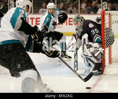 San Jose Sharks' Joe Thornton, Links, versucht den Puck zu mannschaftskamerad Grant Stevenson, Center, Anaheim Mighty Ducks goalie Jean-Sebastien Giguere verteidigt sein Ziel in der dritten Periode eines NHL Hockey Spiel in Anaheim, Calif. am Dienstag, 7. März 2006. Die Ducks gewann in überstunden, 5-4. Foto von Francis Specker Stockfoto