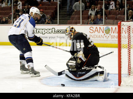 Anaheim Ducks Torwart Jean-Sebastien Giguere, rechts, macht Halt bei einem Schuss von Jamal Mayers von St. Louis Blues während der ersten Periode eines NHL-Hockeyspiels in Anaheim, Kalifornien, am Samstag, den 15. März 2008. Foto von Francis Specker Stockfoto