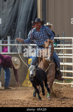 Tie Down Rope Event beim 4. Jährlichen Herbst PRCA Rodeo in Arcadia Florida Stockfoto