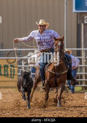 Tie Down Rope Event beim 4. Jährlichen Herbst PRCA Rodeo in Arcadia Florida Stockfoto