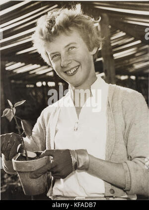 Betty Cuthbert, c. von Ted Hood der 1950er Jahre Stockfoto