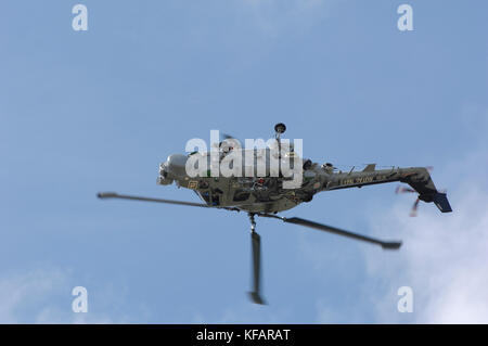 Spezielle Lackierung Westland Lynx HMA-8 DSP von UK-Royal-Navy schwarze Katzen display Team im Flying-Display der RIAT 2007 Stockfoto