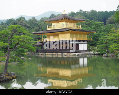 Ansicht der Kinkaku-ji Temple aka Goldenen Pavillon spiegelt sich im Wasser der umliegenden Teich in Kyoto, Japan Stockfoto