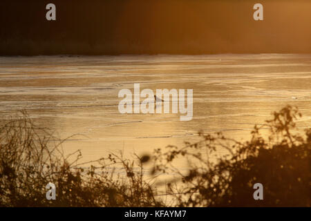 Lough Neagh im Winter mit gefrorenen Margen. Stockfoto