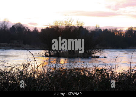 Vogel auf Lough Neagh Nordirland im Winter verstecken. Stockfoto