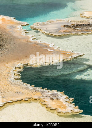 Wams Pool, ein Doppelzimmer pool Hot Spring in Upper Geyser Basin im Yellowstone National Park Stockfoto