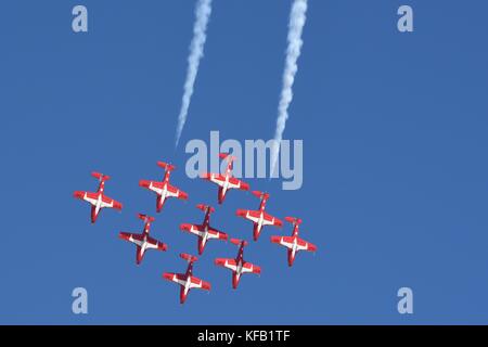 Die Royal Canadian Air Force snowbirds Luftfahrzeugs Luftakrobatik während der gowen Donner open house und Air Show in Gowen field Oktober 14, 2017 in Boise, Idaho. (Foto von Becky vanshur über planetpix) Stockfoto