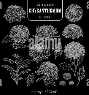 Eingestellt von isolierten Chrysantheme Sammlung 1. cute Hand gezeichnet Blume Vector Illustration nur weißer Umriss auf schwarzem Hintergrund. Stock Vektor