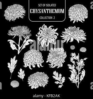 Eingestellt von isolierten weißen silhouette Chrysantheme Sammlung 2. cute Hand gezeichnet Blume Vector Illustration in weiße Ebene und keine Umrisse auf Schwarz backgrou Stock Vektor