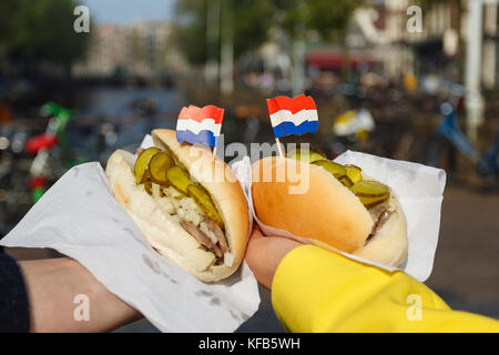 Traditionelle niederländische Sandwich mit Hering in die Hände im Freien Stockfoto