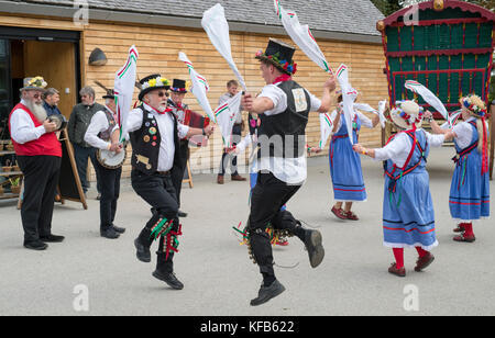 Morris Dancers bei Weald und Downland Open Air Museum, Herbst Landschaft zeigen, Singleton, Sussex, England Stockfoto