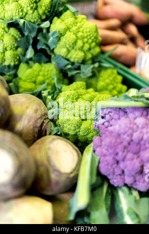 In der Nähe von Reifen und lebendigen Grün Romanesco Gemüse hinter lila Blumenkohl und Schweden und auf einem Markt in Yorkshire, UK Abschaltdruck Stockfoto