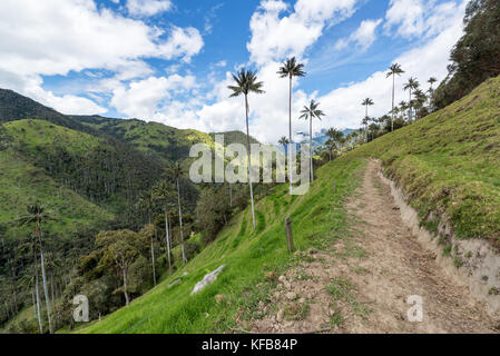 Dirt Road in der Nähe von Salento, Kolumbien mit Wachs Palmen Stockfoto