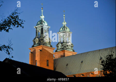 Gotische Bazylika Archikatedralna Wniebowziecia Najswietszej Marii panny ich sw Wojciecha ((die Kathedrale Basilika der Himmelfahrt der Jungfrau Maria Stockfoto