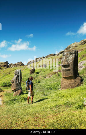 Easter Island, Chile, Isla de Pascua, Rapa Nui, Rano Raraku ist eine vulkanische Krater an den unteren Hängen des terevaka, es versorgt fast 95% der Insel Stockfoto