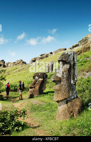 Easter Island, Chile, Isla de Pascua, Rapa Nui, Rano Raraku ist eine vulkanische Krater an den unteren Hängen des terevaka, es versorgt fast 95% der Insel Stockfoto