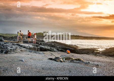 GALAPAGOS, Ecuador, eine Gruppe von Menschen heraus hängen am Strand und beobachten den Sonnenuntergang von Fernandina Insel Stockfoto