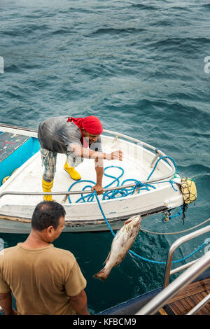 GALAPAGOS, Ecuador, die lokalen Fischer verkaufen Fische an die M/C Ocean Spray Stockfoto