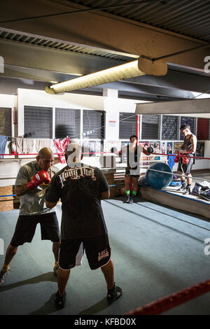 Usa, Oahu, Hawaii, Portrait von Mma Mixed Martial Arts Ultimate Fighter Lowen tynanes bei seinem Training Gym in Honolulu. Stockfoto