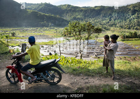 Indonesien, Flores, Menschen versammeln sich auf der Straße mit Blick auf ein Tal mit Reisfeldern und Arbeiter in der Ferne gefüllt, waturaka Dorf Stockfoto