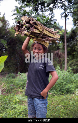 Indonesien, Flores, Porträt eines jungen Mädchens, die Holz auf ihren Kopf in dintor Dorf Stockfoto