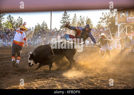 Usa, Oregon, Schwestern, Schwestern Rodeo Cowboys reiten eine 2.000 Pfund Stier mit praktisch keine Kontrolle für so lange Sie können Stockfoto