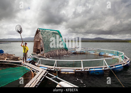 Philippinen, Palawan, Puerto Princessa, Fischzucht Mitarbeiter Roberto cabate in der Gegend Santa Lucia Stockfoto