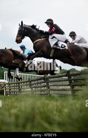 Usa, Tennessee, Nashville, Irokesen steeplechase, Jockeys und ihre Pferde Luft über einen Sprung in das Holz Rennen Stockfoto