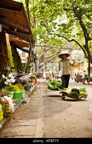 VIETNAM, Hanoi, eine Straße, Szene, einer Frau, die auf der Straße verkauft die Produzieren Stockfoto