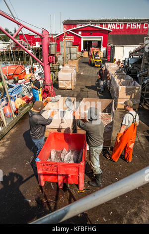 Usa, Washington State, Fez, der Hafen von Fez an der südwestlichen Küste von Washington gerade innerhalb des Columbia River Bar, jessies Fez fis Stockfoto