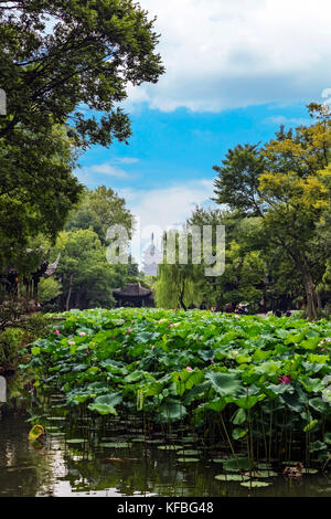 Der Meister der Nets Garden gehört zu den schönsten Gärten in Suzhou mischen Kunst, Natur und Architektur Stockfoto