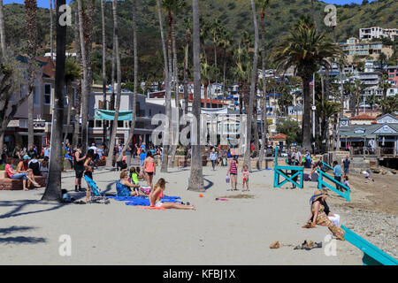 Besucher genießen den Sand und Sonne auf Crescent Beach, das der Strand von Avalon Bay in der Stadt Avalon auf Santa Catalina Island. Stockfoto