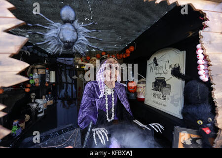 Dublin, Irland. 27. Oktober 2017 ein Haus in der Dublin 3, die für Halloween dekoriert ist, Geld für Temple Street zu heben Childrens Hospital in Dublin. Credit: laura Hutton/alamy Leben Nachrichten. Stockfoto