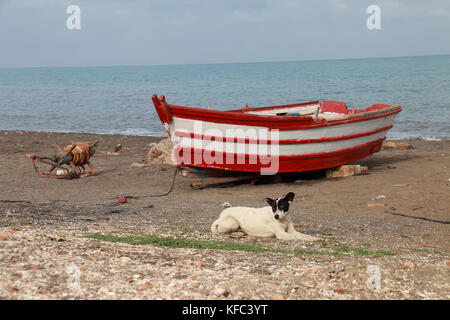 Fischerboot am Strand angeschwemmt Neben einem Hund liegend auf dem Sand Stockfoto