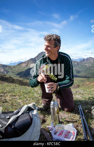 Usa, Alaska, Denali, Denali Nationalpark, Wanderführer und lokalen Naturforscher Jeffery ottmers, erklärt die Flora und Fauna und lehrt die Teilnehmer Stockfoto