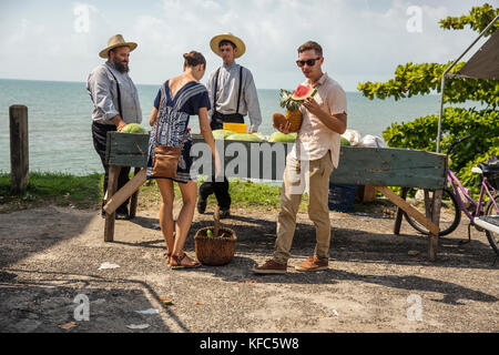 Belize, Punta Gorda, Toledo, Gäste Belcampo Belize Lodge übernachten und Jungle Farm auf dem lokalen Markt in Punta Gorda klicken Sie frisches Gemüse zu erhalten Stockfoto