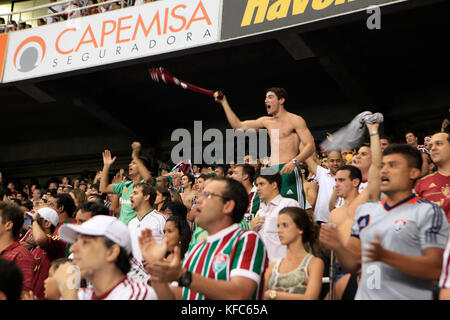 Brasilien, Rio de Janiero, Fans jubeln und innerhalb von joao havelange oder engenhao Stadion feiern, flumanense vs gremio Stockfoto