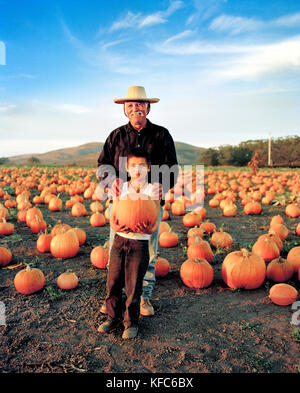 Usa, Kalifornien, älterer Mann, der mit seinem Enkel in ein kürbisfeld, Half Moon Bay, Kürbis ist Bob Bauernhof Stockfoto