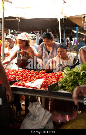 Mauritius, flacq, die größte Open-Air-Markt in Mauritius, flacq Markt, Kauf von frischen Tomaten Stockfoto