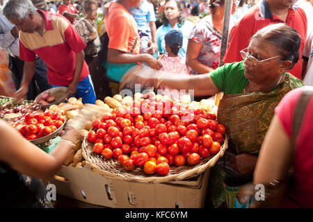 Mauritius, flacq, die größte Open-Air-Markt in Mauritius, flacq Markt, Kauf von frischen Tomaten Stockfoto