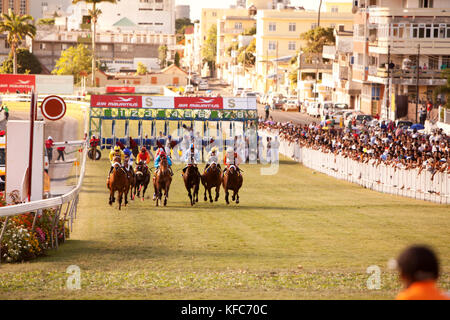 Mauritius; Port Louis; eine internationale Pferderennen zieht Tausende an Champ de Mars Rennen natürlich; internationale Jockey Tag Stockfoto