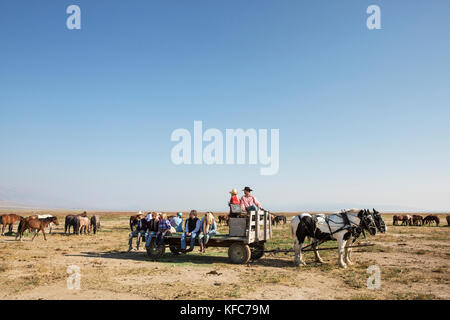 Usa, Nevada, Brunnen, Gäste können im Pferd teilnehmen - planwagenfahrten während ihres Aufenthaltes im Mustang Monument, einer nachhaltigen Luxus Eco Resort Stockfoto